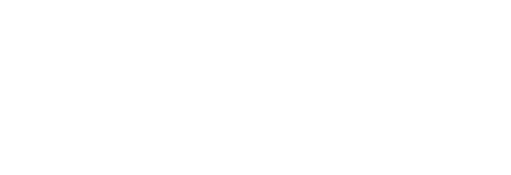 MV Logo White